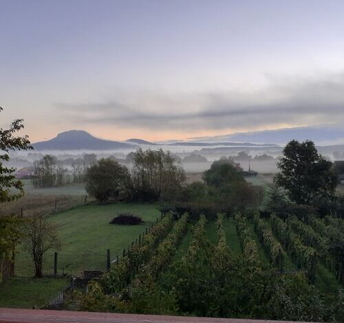 CsillaG Apartman Kisapáti 