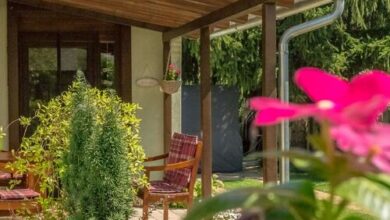 Csillagvirág Apartman Gyula 