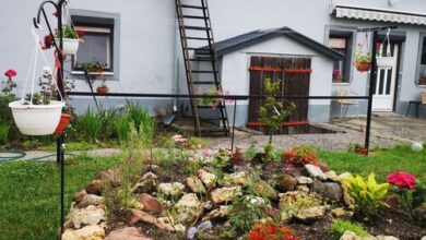 Csobánc Apartman Tapolca 