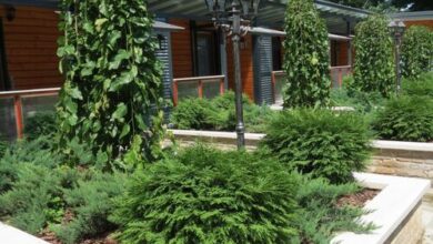 Csobogó Vendégház Verőce 