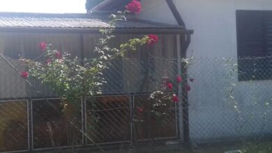 Csokonai Apartman Balatonfenyves 