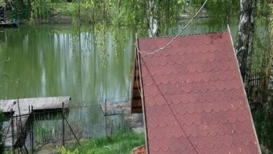 Csomor-Lak Vendégház Gyomaendrőd 