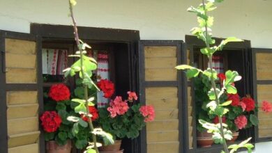 Csörgő Vendégházak Szalafő 