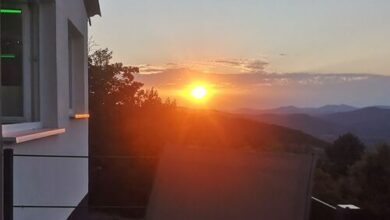 Csudahely Vendégház Dunabogdány 