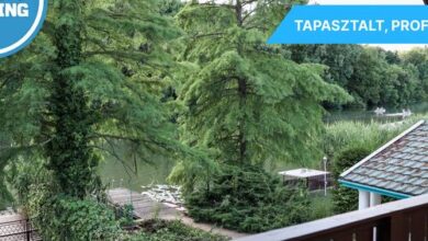 Csuka Nyaraló Szarvas 