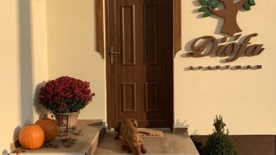 DIÓFA Apartmanház Edelény 