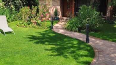 Daniel Apartman Tahitótfalu 