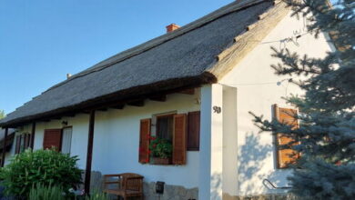 Dániel Vendégháza Pákozd 