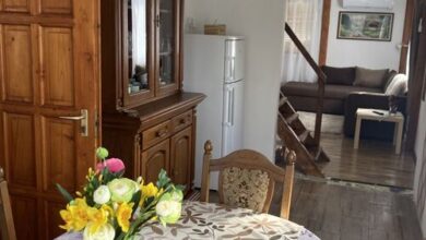 Darwin Vendégház Abádszalók 