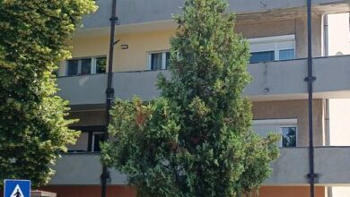 Dávid Apartman Siófok 