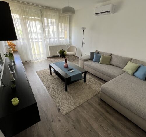 Debreceni Egyetem Nagyerdei Apartman Debrecen 