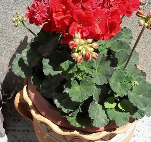 Délibáb Apartman Abádszalók 