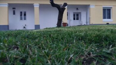 Délibáb Vendégház Poroszló 