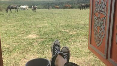 Dharma Mentett Állatok Kertje Bungalók & Farmping Siófok 