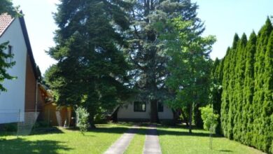 Dinnyelaposi Nyaraló 31. Békésszentandrás 