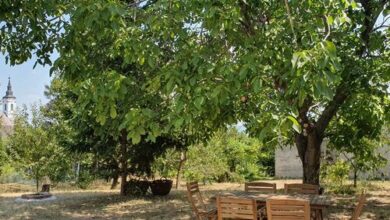 Diófa Vendégház Balatonfüred 