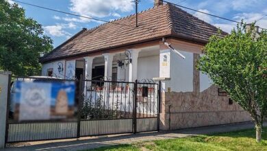 Diófa Vendégház Cserépfalu 