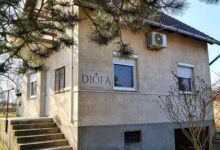 Diófa Vendégház Daruszentmiklós 