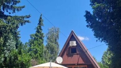 Diófasor Nyaraló Balatonvilágos 