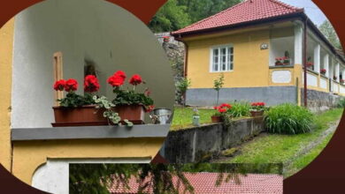 Dókuspart Vendégház  Telkibánya 