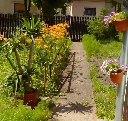 Dominikagarden Apartman Budapest 