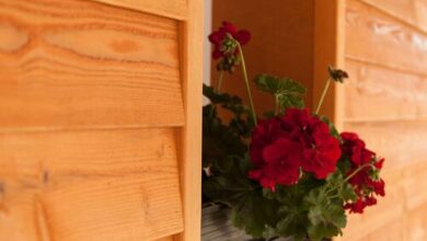 Dorottya Vendégház Hódmezővásárhely 