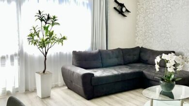 Downtown Dream Apartmans Szeged 