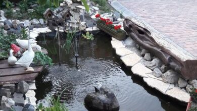 Dózsa Vendégház Hajdúböszörmény 