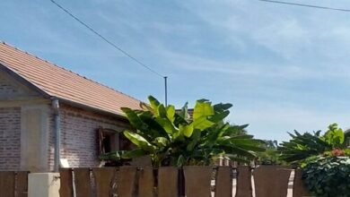 Dráva Fishing Apartman Drávakeresztúr 