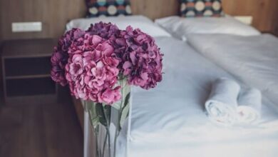 Dreko Panzió és Borbisztró Győrújbarát 