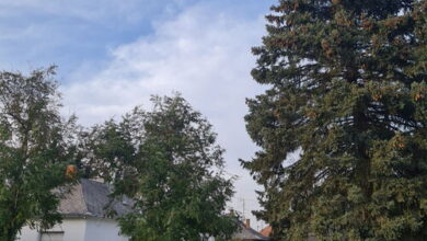 Dupla Espresso Pihenő Birtok Vajszló 