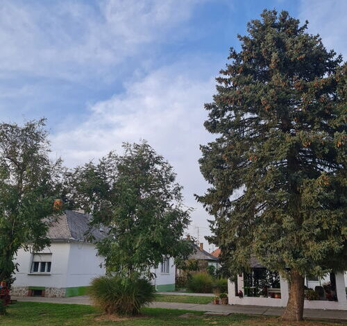 Dupla Espresso Pihenő Birtok Vajszló 