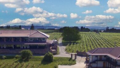 Ebner Pince Panzió Mozsgó 