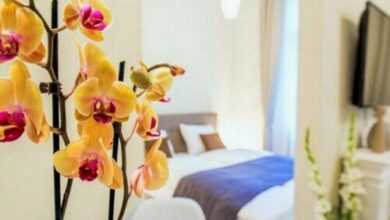 Eden Center Home Győr 