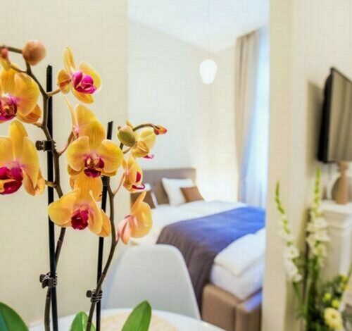 Eden Center Home Győr 