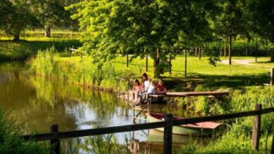 Édenkert Panzió Siófok 