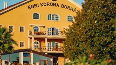 Egri Korona Borház - Borfalu