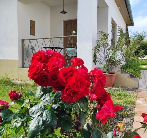 Egyszervolt Házikó Tiszafüred 