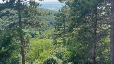 Elisa Rezi-Dencia Apartman Rezi 