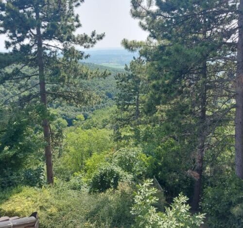 Elisa Rezi-Dencia Apartman Rezi 