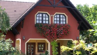 Elizabeth Apartman Siófok 