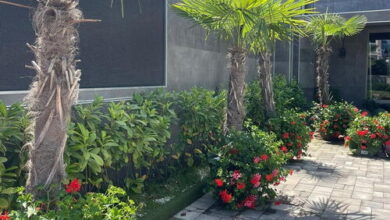 Ellipsum Vendégház Miskolctapolca 