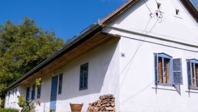 Élő Otthon-Vendégségben Szálkán Szálka 