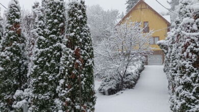 Elsővölgyi Vendégház Nagymaros 
