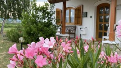 Emese Apartman Cserszegtomaj 