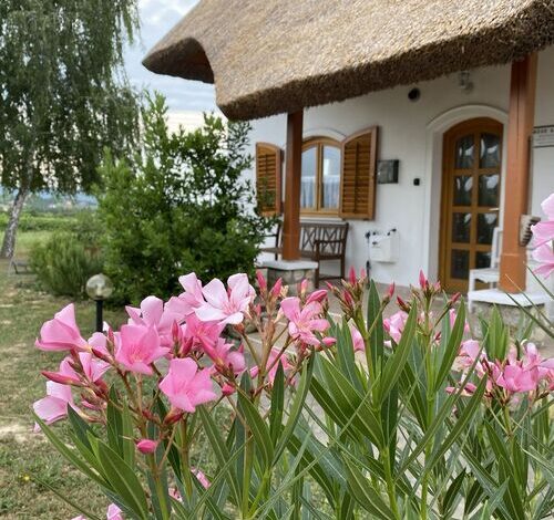 Emese Apartman Cserszegtomaj 