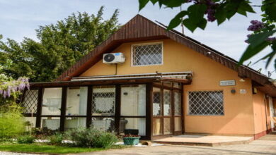 Emili Apartman Ráckeve 