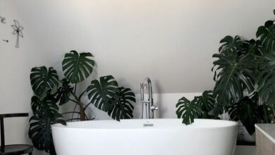 Endless Summer Vendégház Vonyarcvashegy 