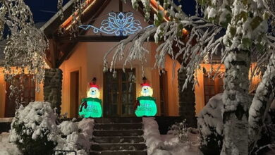 Erdei Apartman Parádsasvár 