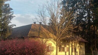 Erdei Tündérlak Somogysimonyi 
